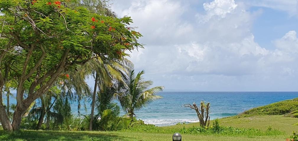 Martial Tropiques Et Martial Coco & Plage, 2 Appartements Refaits A Neuf Vue Mer, Village De Vacances A Ste Anne Sainte-Anne  Exterior photo